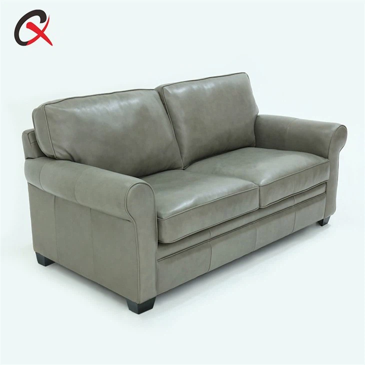 Leather Sleeper Sofa